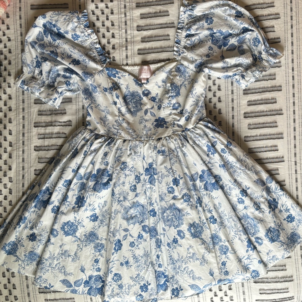 NWT Audrey Parks and Francesca’s Stacia Floral Babydoll Mini Dress